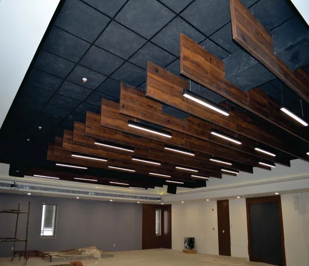 Acoustic Treatment